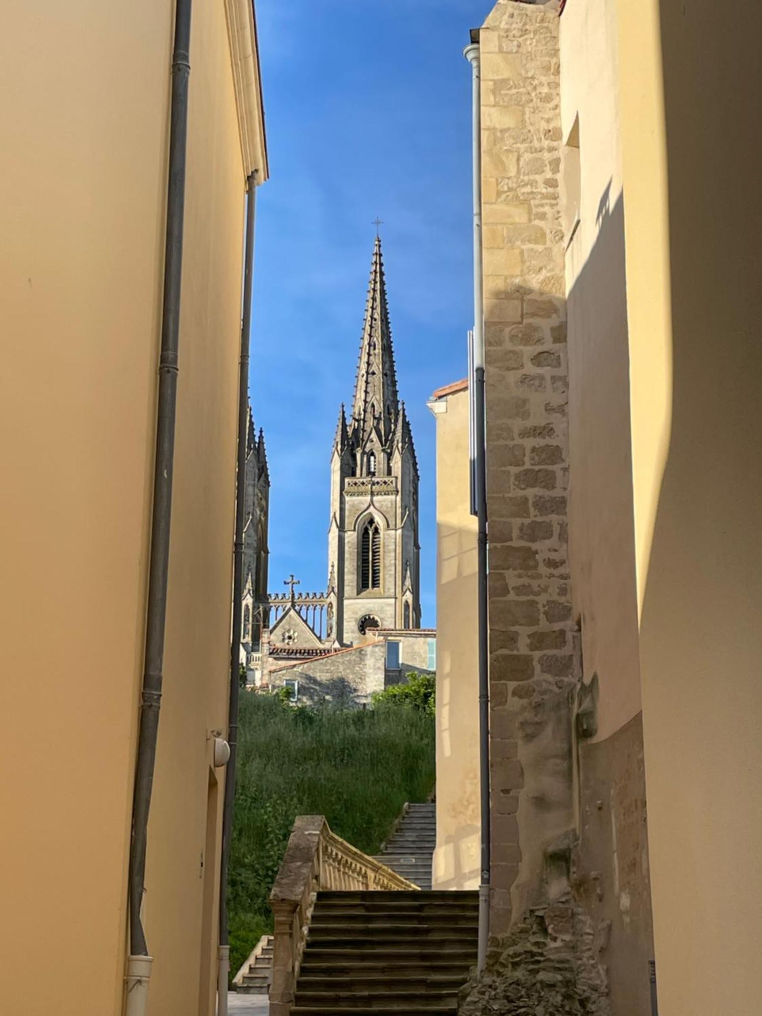 Chez Jean-Yves Et Zoe - La Dolce Vita - Au Calme, Tres Propre, Proche Parkings Niort Buitenkant foto
